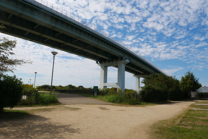 尼崎の森中央緑地 阪神高速5号湾岸線の下の遊歩道画像